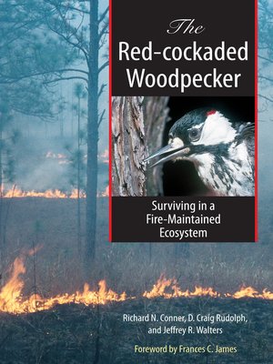 cover image of The Red-cockaded Woodpecker: Surviving in a Fire-Maintained Ecosystem